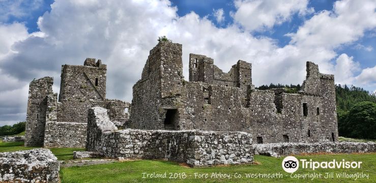Fore Abbey