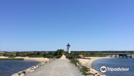 Lighthouse Beach