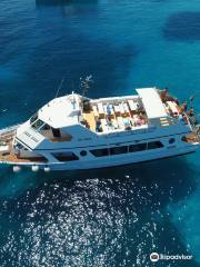 Navetta Sea Star