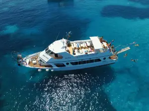 Navetta Sea Star