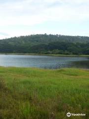 Mavoor Wetlands