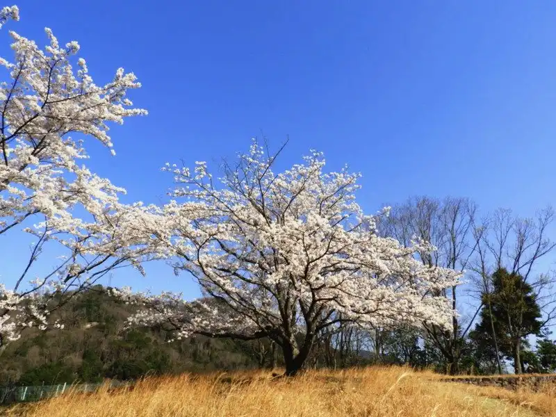 Hotels near Ojiyama Tomb
