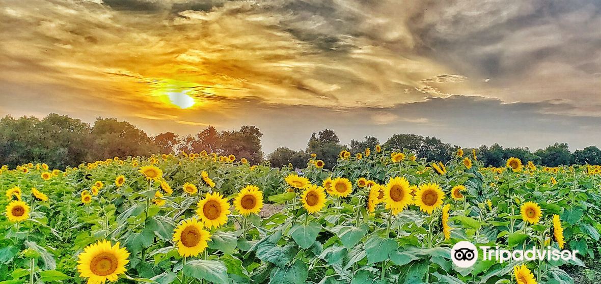 Leavenworth County Travel Guide 2024 Things to Do, What To Eat & Tips