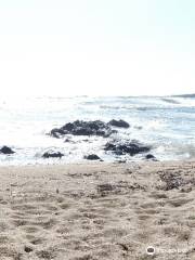 Пляж де ла Нартель