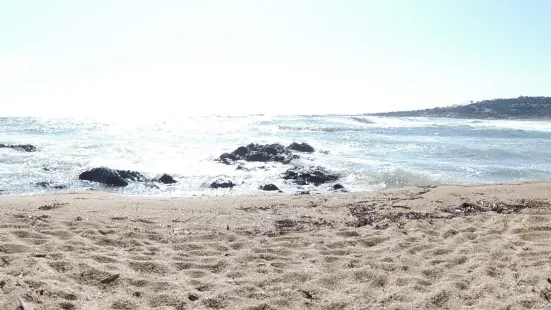 Nartelle Beach