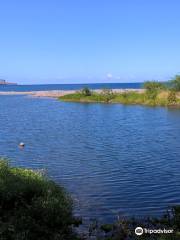 Reserve Naturelle Nationale L'Etang de Saint-Paul