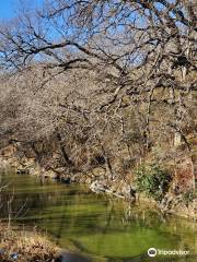 Spring Creek Forest Preserve