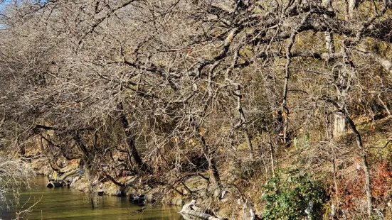 Spring Creek Forest Preserve