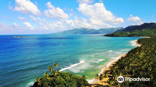 Playa de las Canas