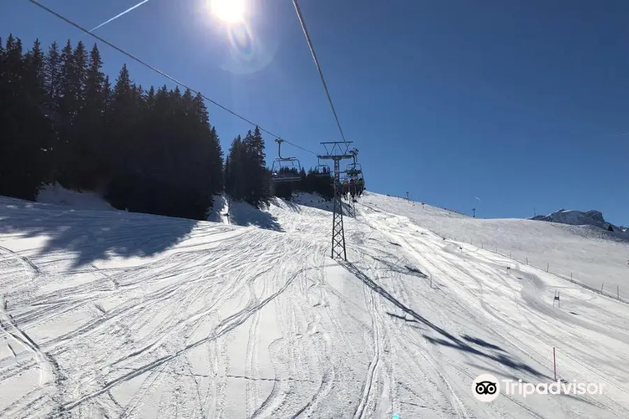 Skigebiet Metsch