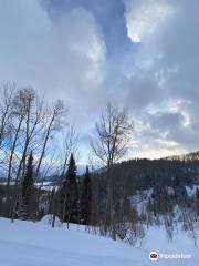 Steamboat Lake Marina