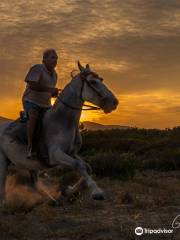 Laganas Horse Riding Center