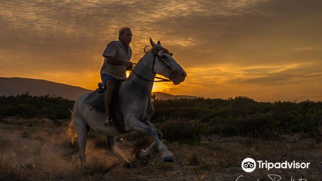 Laganas Horse Riding Center