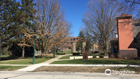 Shiawassee Arts Center