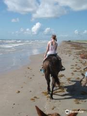 Horses On The Beach: Corpus Christi