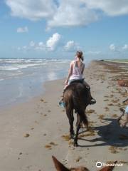 Horses on the Beach