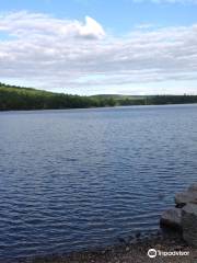 Craig Pond