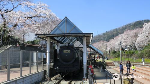 Yamakita Town Railway Park