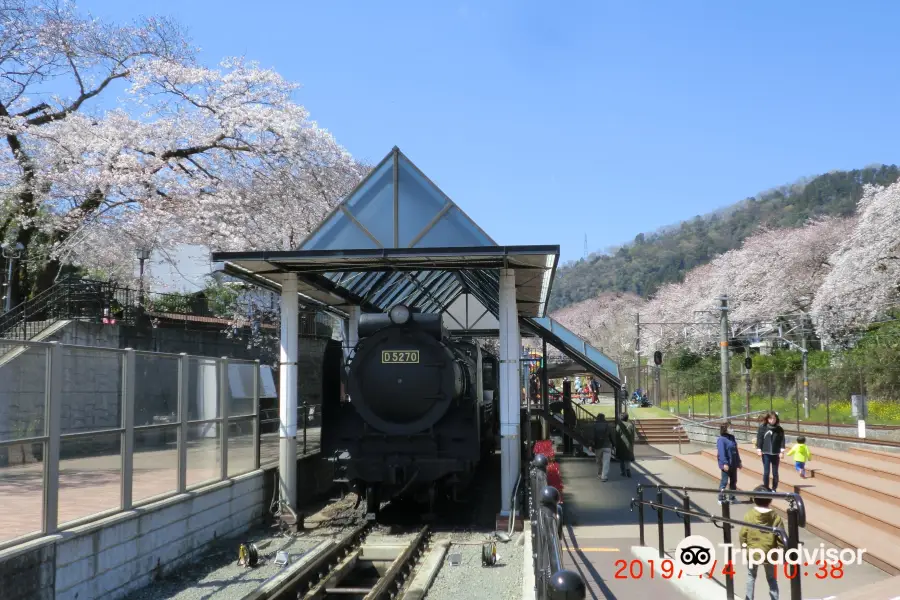 Yamakita Town Railway Park