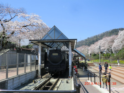 クマ散歩:山北鉄道公園にクマ出没 | Trip.com 山北町 クマ散歩:山北鉄道公園にクマ出没 | Trip.com 山北町