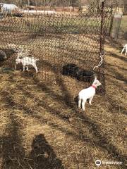 Natick Community Organic Farm