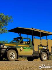 Bubezi Safaris