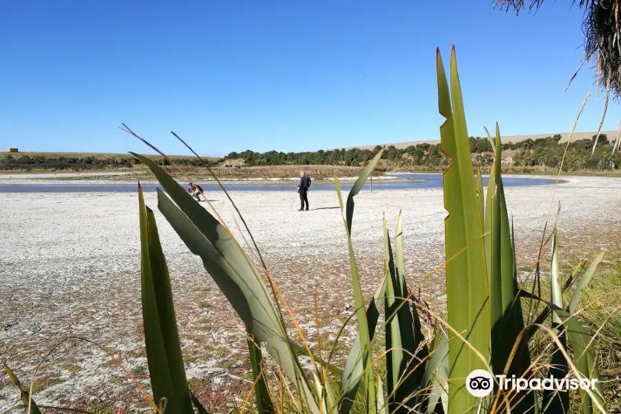 Otipua Wetland