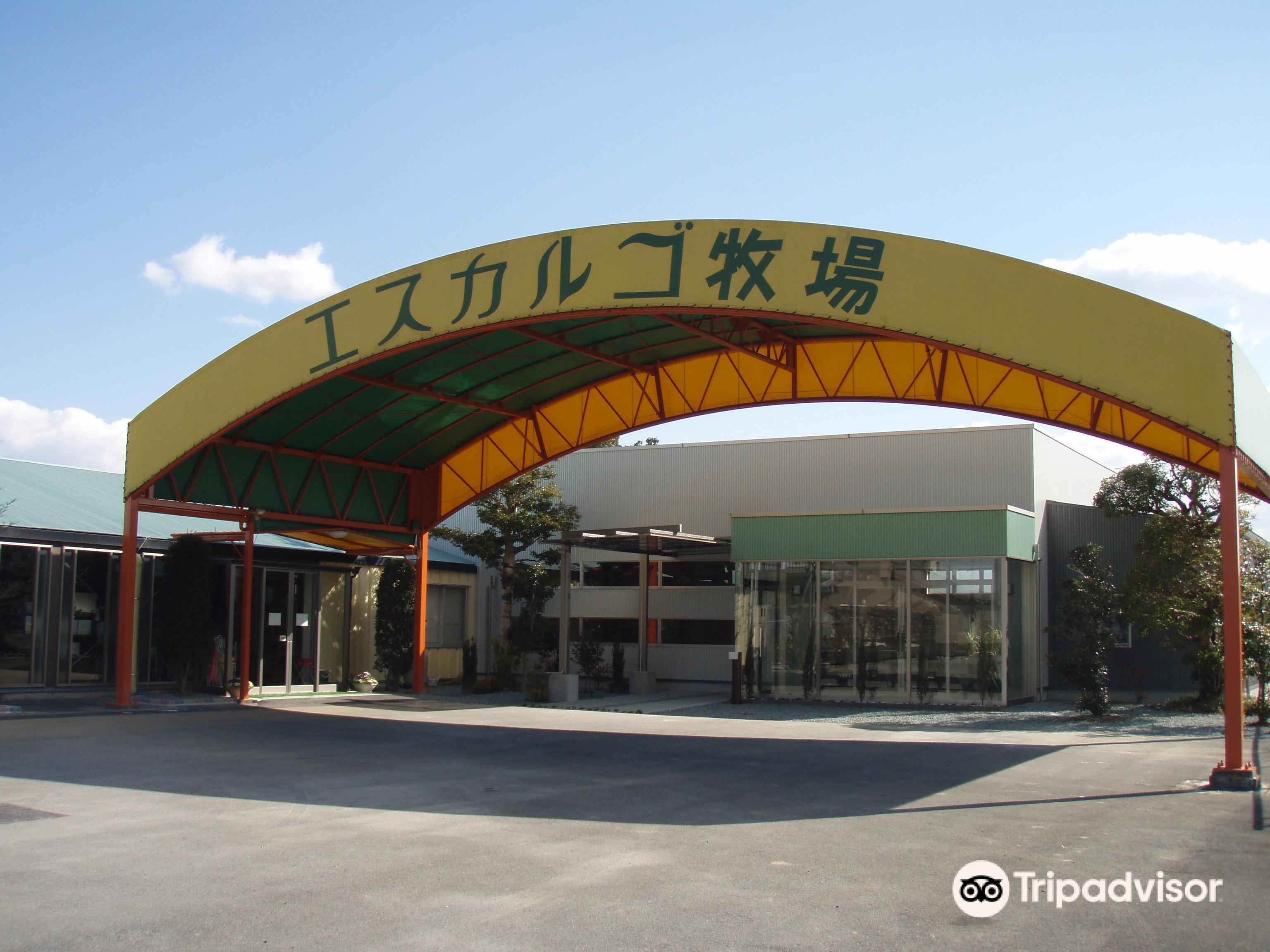 Escargot Farm - 입장권, 운영 시간, 후기 & 사진 [2024년] | Trip.com