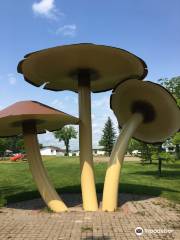 World's Largest Mushrooms