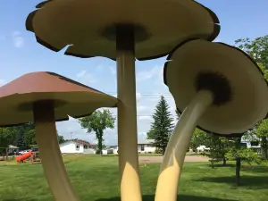 World's Largest Mushrooms