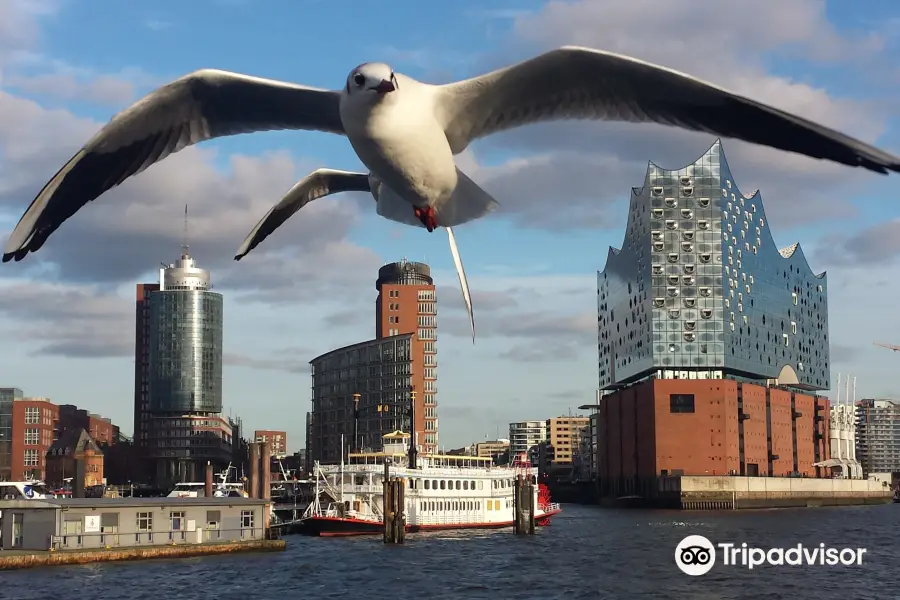 Hamburg Anders Erfahren