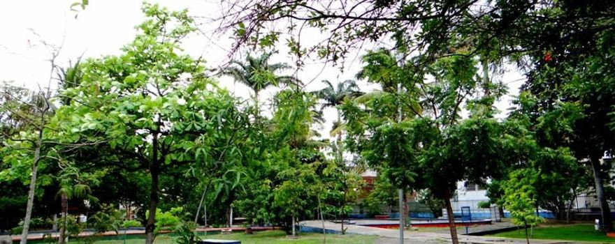 Forest Park Fernando Silvestre da Silva