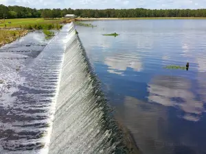 Reed Bingham State Park