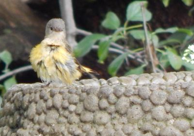 Hammond Lakefront Park and Bird Santuary