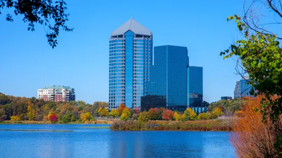 Normandale Lake Park