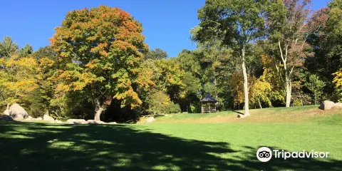 Connecticut College Arboretum