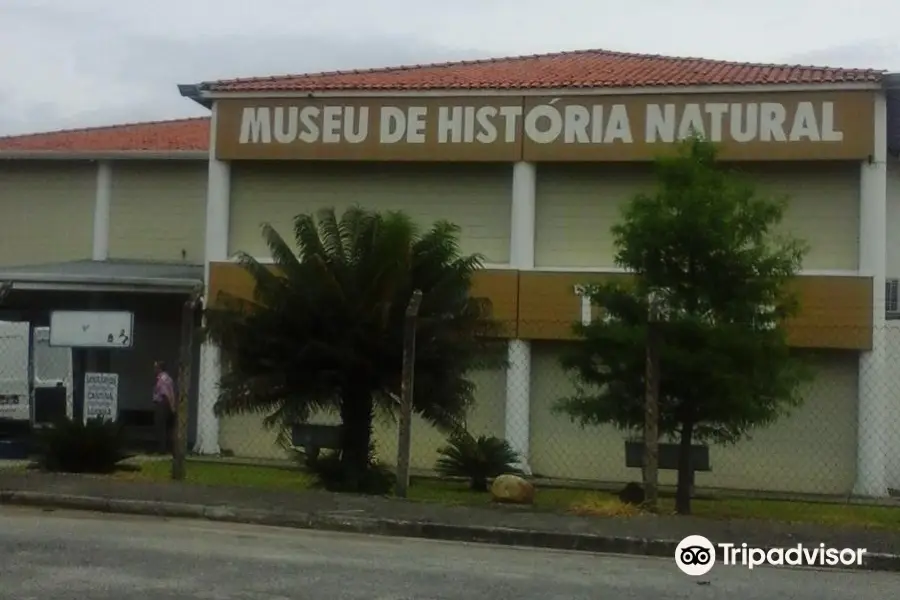 Museu de Artes Plásticas Anderson Fabiano
