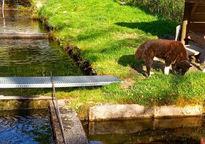 pisciculture des Meuniers