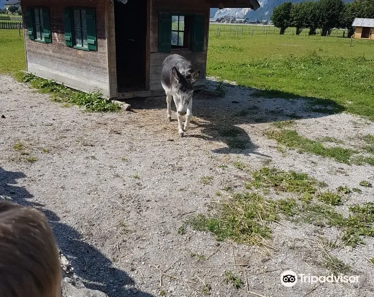 Dorf der Tiere