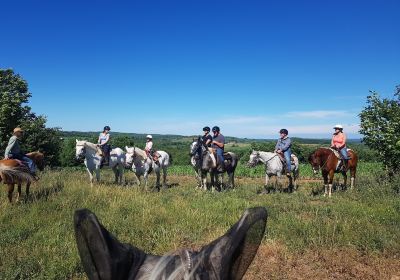 Windsong Horse & Carriage Ranch - Horseback Trail Rides