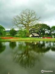 Parque Forestal