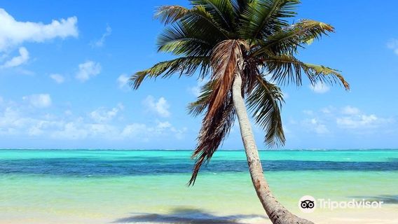 Punta Bonita
