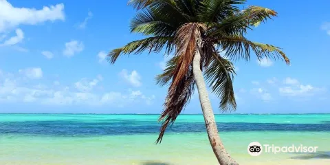 Punta Bonita