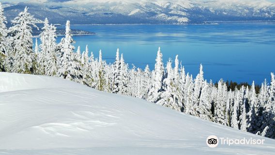 Homewood Mountain Resort