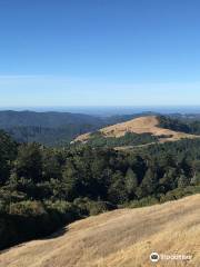 Russian Ridge Open Space Preserve