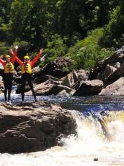 Water by Nature Tasmania, Franklin River Rafting