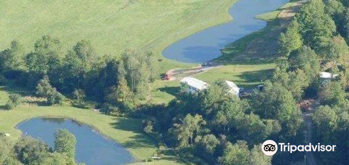 Things to Do in Weston Mills in 2024 Top Attractions, Local Food