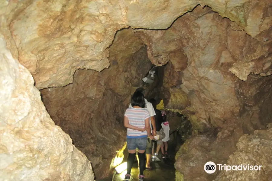 Sekigahara Limestone Cave