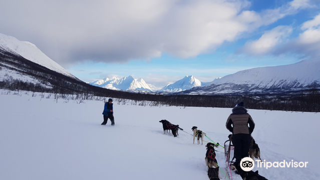 Happy Tails Husky Tours