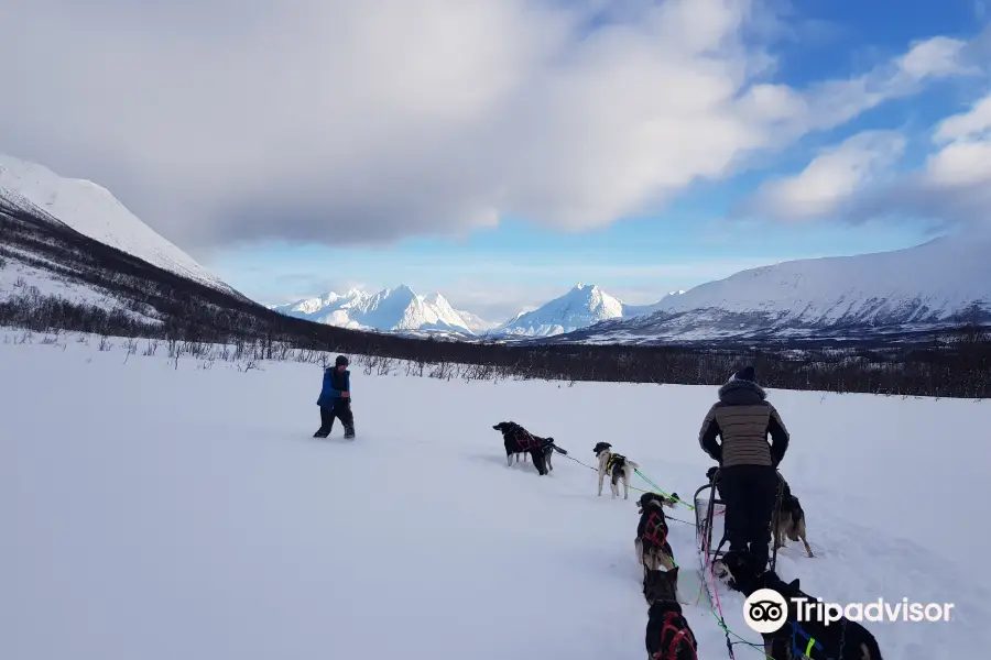 Happy Tails Husky Tours